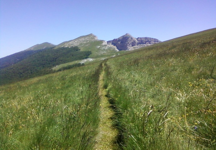 «<small class="fine d-inline"> </small>On ne se laissera pas faire<small class="fine d-inline"> </small>» : les jeunes tracent leur chemin