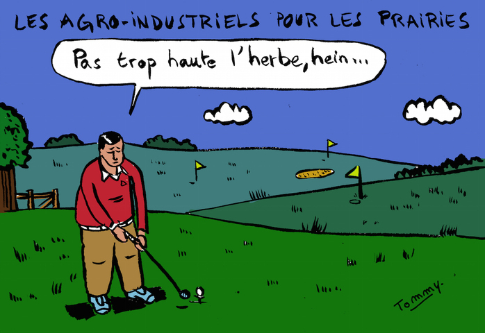 Voici comment l'Etat détruit les prairies et la biodiversité