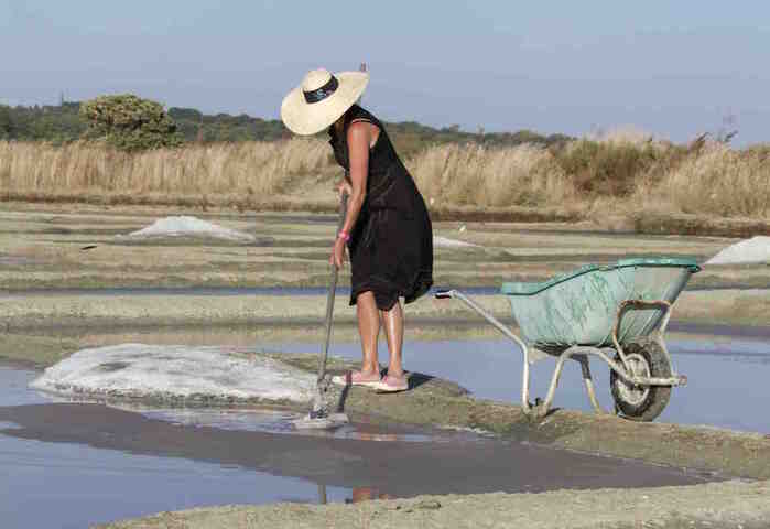 À Guérande, la coopérative du sel pratique avec succès l'entraide et l'écologie