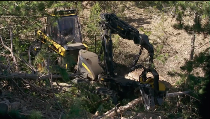A voir à la télé - Menaces sur la forêt française