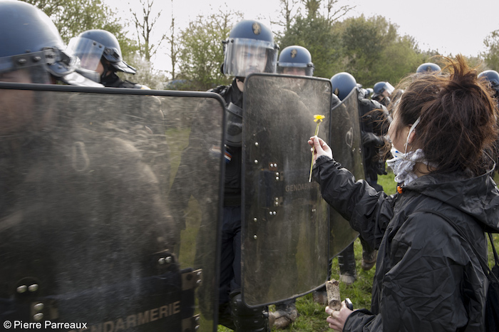 Les Naturalistes en lutte «<small class="fine d-inline"> </small>remercient<small class="fine d-inline"> </small>» Nicolas Hulot d'avoir protégé la biodiversité de la Zad