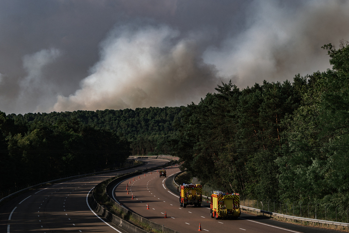 Fontainebleau, symbole de la remontée des incendies vers le nord