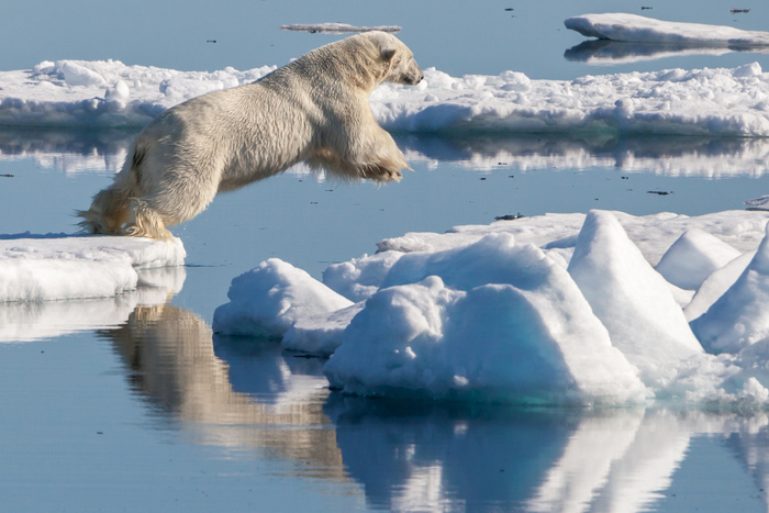 Après un léger ralentissement, la fonte de la banquise arctique reprend de plus belle