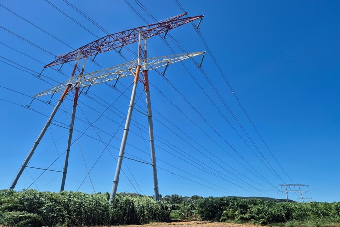 En Camargue, des lignes à haute tension exemptées d'évaluation environnementale