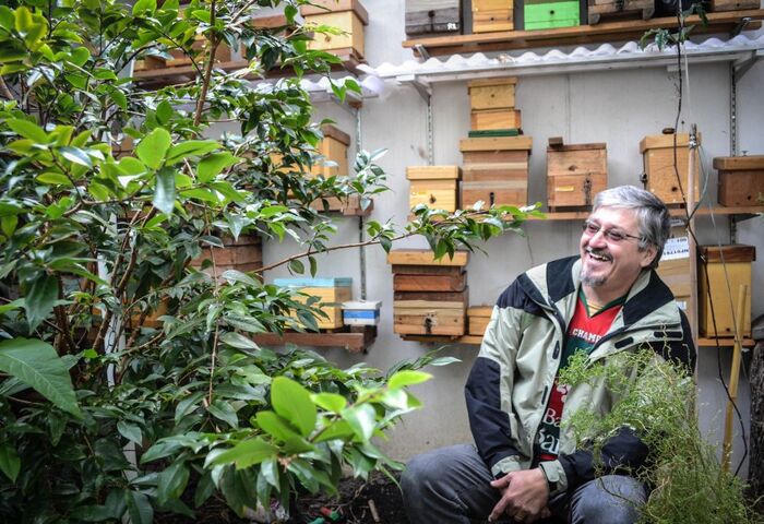 Au Brésil, des passionnés sauvent les abeilles sans dard et préservent la biodiversité