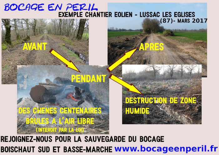 Manifestation pour la sauvegarde du bocage à Argenton-sur-Creuse (Indre)