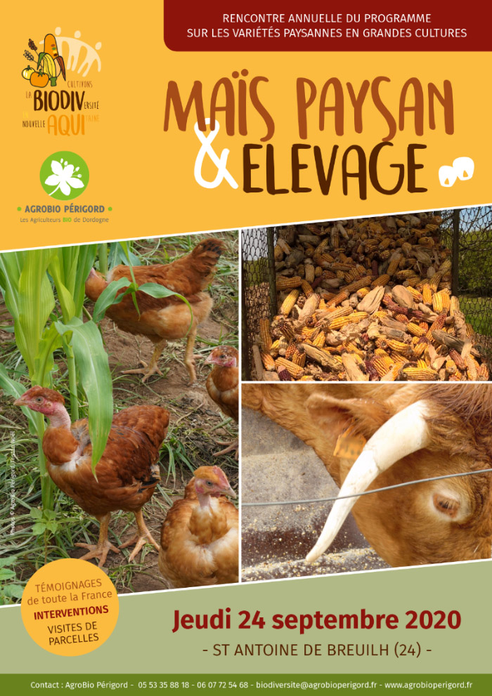 Maïs paysan et élevage, journée de rencontres à Saint-Antoine-de-Breuilh (Dordogne)