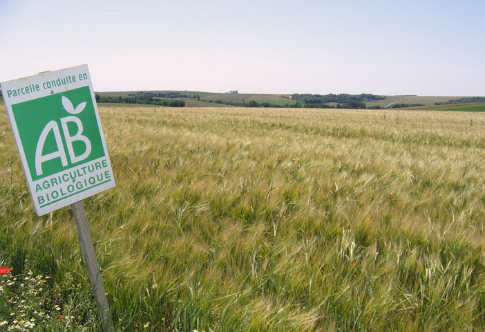 Le gouvernement réduit les aides à l'agriculture bio