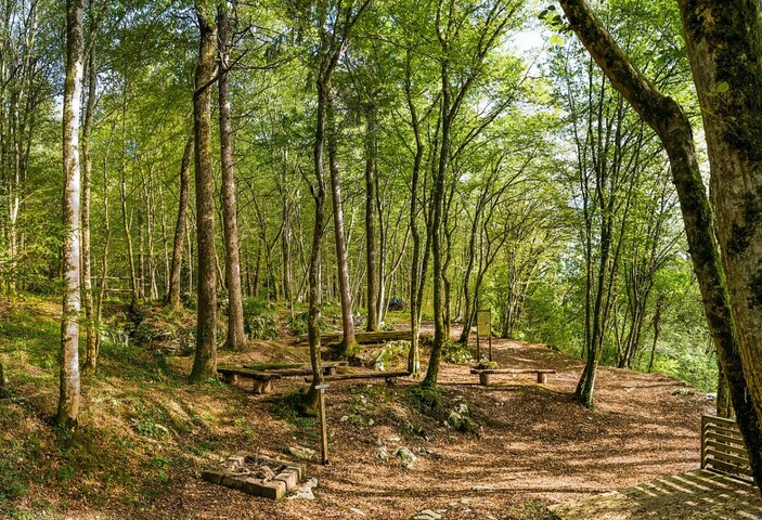 L'Europe abandonne un projet de surveillance des forêts