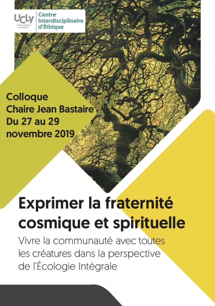 Colloque «<small class="fine d-inline"> </small>Exprimer la fraternité cosmique et spirituelle<small class="fine d-inline"> </small>», à Lyon