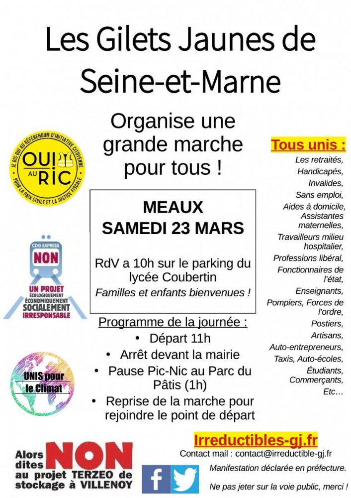Grande marche des Gilets jaunes, à Meaux (Seine-et-Marne)