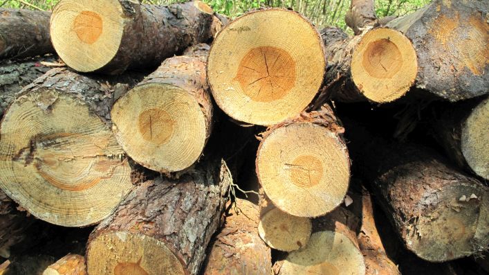 La forêt n'est pas une marchandise