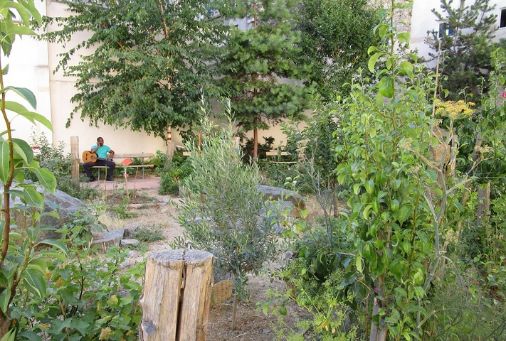 Des arbres fruitiers rassemblent les habitants de La Chapelle, à Paris 