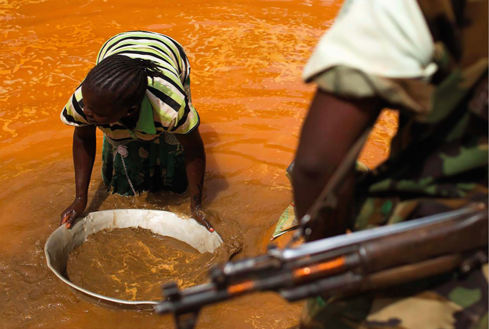 Les crimes environnementaux financent les mafias et les groupes terroristes