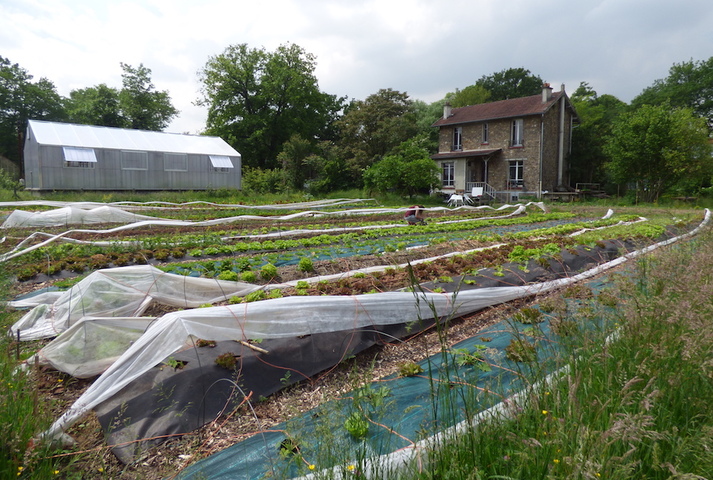 V'île fertile, l'agriculture urbaine prend racine aux portes de Paris