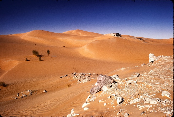 Dans 50 ans, un tiers de l'humanité pourrait vivre dans des endroits aussi chauds que le Sahara