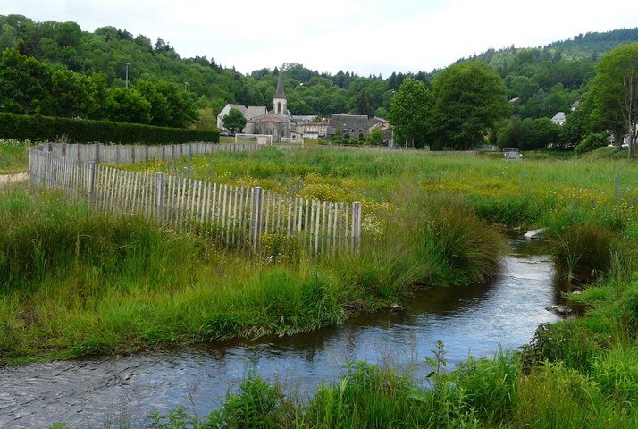 Avec les «<small class="fine d-inline"> </small>réserves d'actifs naturels<small class="fine d-inline"> </small>», la loi sur la biodiversité facilite la marchandisation de la nature