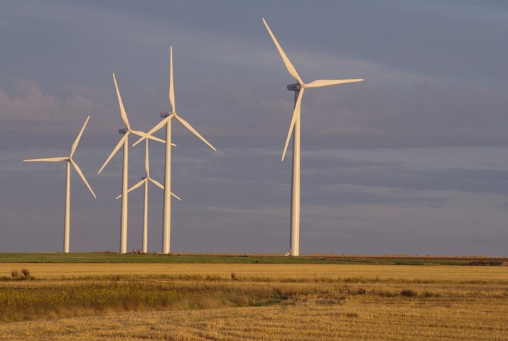 Le <span class="caps">RN</span> fait adopter un moratoire sur les énergies renouvelables à l'Assemblée