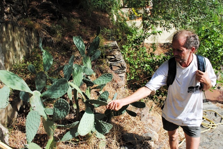 Cultiver et manger du cactus, le pari d'agriculteurs