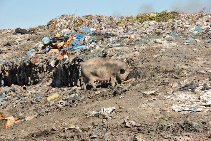 En Albanie, le commerce lucratif des déchets étrangers