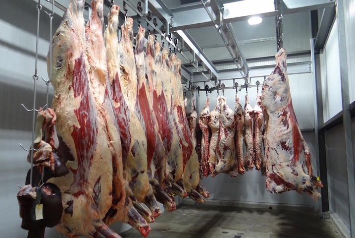 Videosurveillance dans les abattoirs : adoptée, mais contestée au nom des libertés