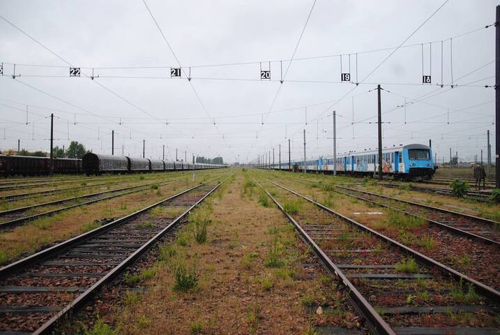 La loi <span class="caps">SNCF</span> affaiblira le chemin de fer, jugent les <span class="caps">ONG</span> écologistes