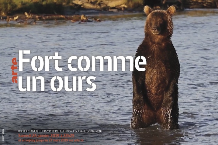 À <span class="caps">LA</span> TÉLÉ <span class="caps">CE</span> <span class="caps">SOIR</span> - Quand les ours inspirent la science