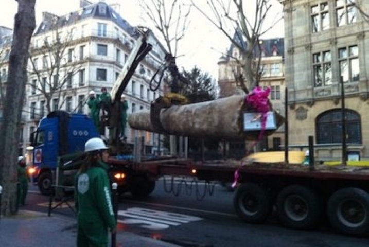 Action de Greenpeace devant le ministère de l'Ecologie contre le bois illégal