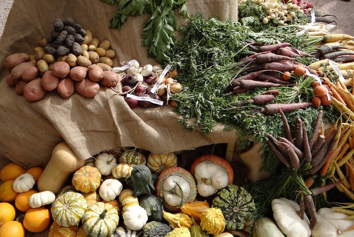 L'Europe pourrait affaiblir les règles de l'agriculture biologique