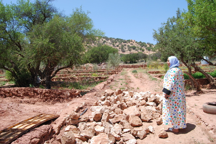 Les Marocaines dépossédées du marché de l'huile d'argan par une multinationale française