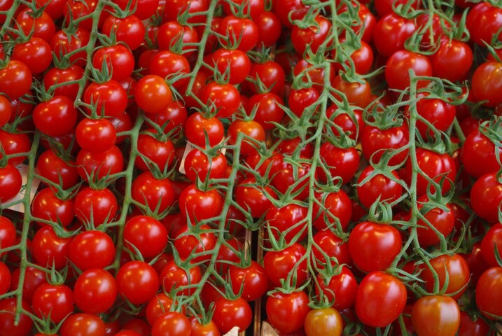 Le Maroc piétine les droits des Sahraouis pour nous fournir en tomates cerises
