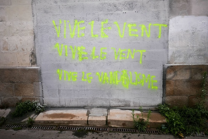 Pour protéger le vivant, mettons «<small class="fine d-inline"> </small>un joyeux bordel<small class="fine d-inline"> </small>»