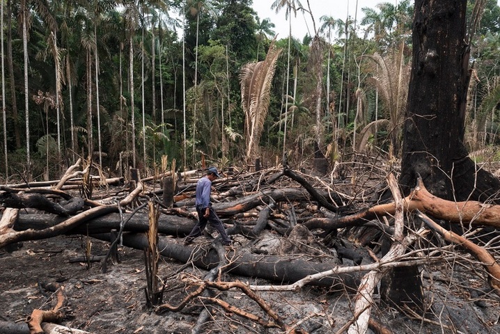 Brésil : La déforestation en Amazonie brésilienne a atteint un record en 2020