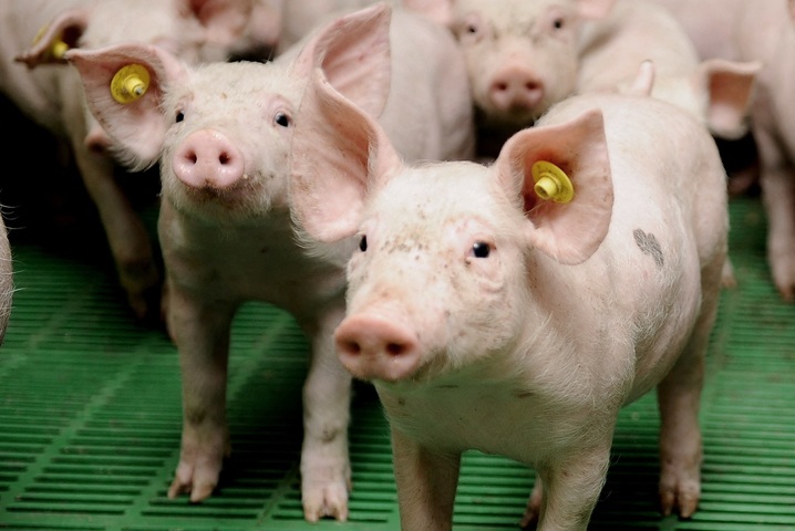 Environnement : ce qui a changé au 1<sup class="typo_exposants">er</sup> janvier