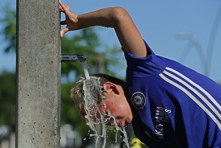 Panne d'électricité, scarabées, maïs desséché : l'Argentine ploie sous la canicule