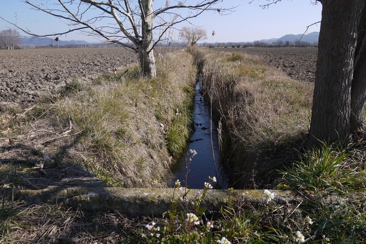 En Provence, des agriculteurs se préparent au manque d'eau 