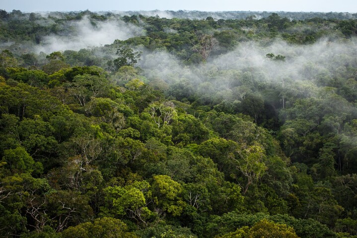 Les régions tropicales pourraient se réchauffer deux fois plus vite que les océans