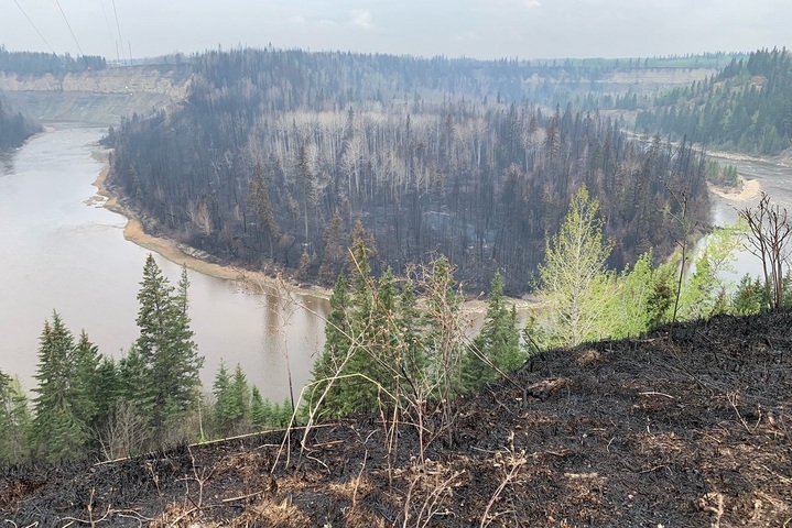 Feux au Canada : pourquoi la forêt boréale brûle si facilement
