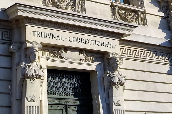 Militant écolo octogénaire agressé : un an de prison requis 