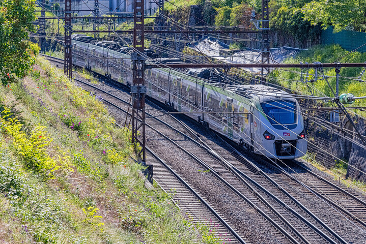 Voies qui «<small class="fine d-inline"> </small>flambent<small class="fine d-inline"> </small>», caténaires dilatées… Pourquoi les retards de train se multiplient pendant la canicule