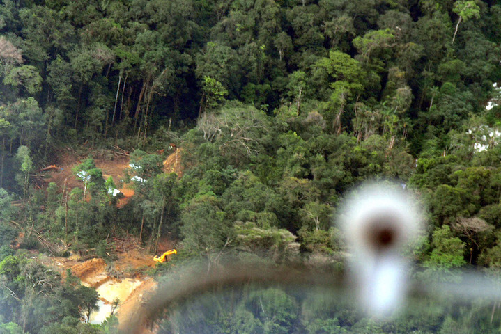 L'extraction aurifère en Guyane, un danger pour la biodiversité forestière et ses habitants