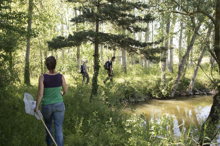 Contre le projet autoroutier A45, les naturalistes entrent en jeu