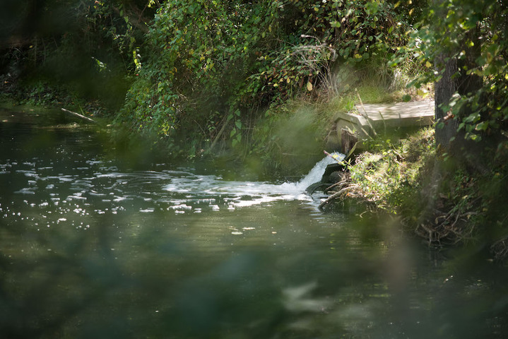 En Bretagne, une pollution de Lactalis a dévasté une rivière