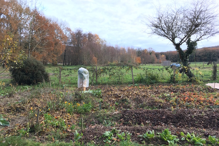 Enrichir et fortifier le sol, le tenace travail du jardin sans pétrole