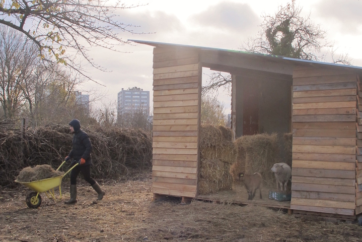 La ferme urbaine où les jeunes en rupture reprennent leur vie en main