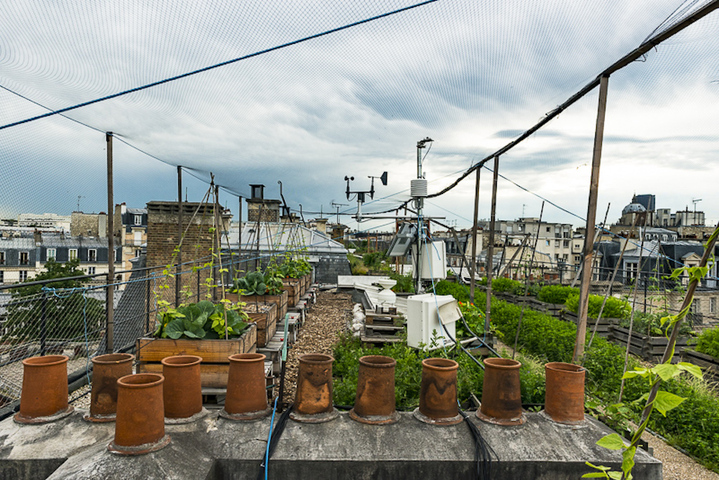 Des potagers sur les toits<small class="fine d-inline"> </small>? Une étude scientifique en confirme l'utilité