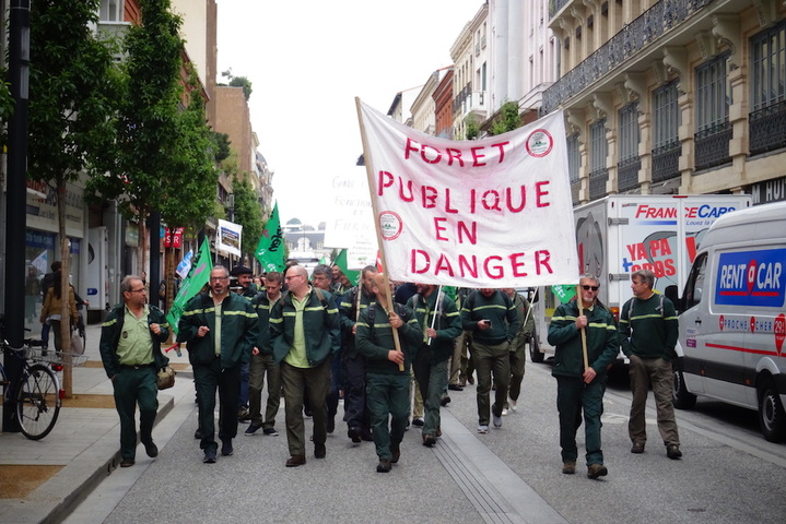 Les forestiers se mobilisent contre l'industrialisation de la forêt
