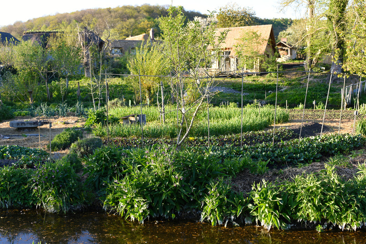 François Léger : «<small class="fine d-inline"> </small>Les microfermes sont le chemin vers l'autonomie alimentaire et sociale<small class="fine d-inline"> </small>»