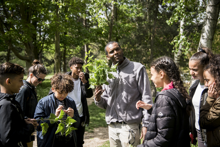 Le «<small class="fine d-inline"> </small>jardin de Rodrigue<small class="fine d-inline"> </small>», un havre partagé au cœur d'un quartier populaire