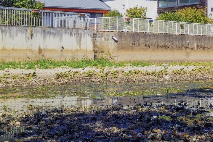 Dans l'Indre, il pleut mais la sécheresse demeure